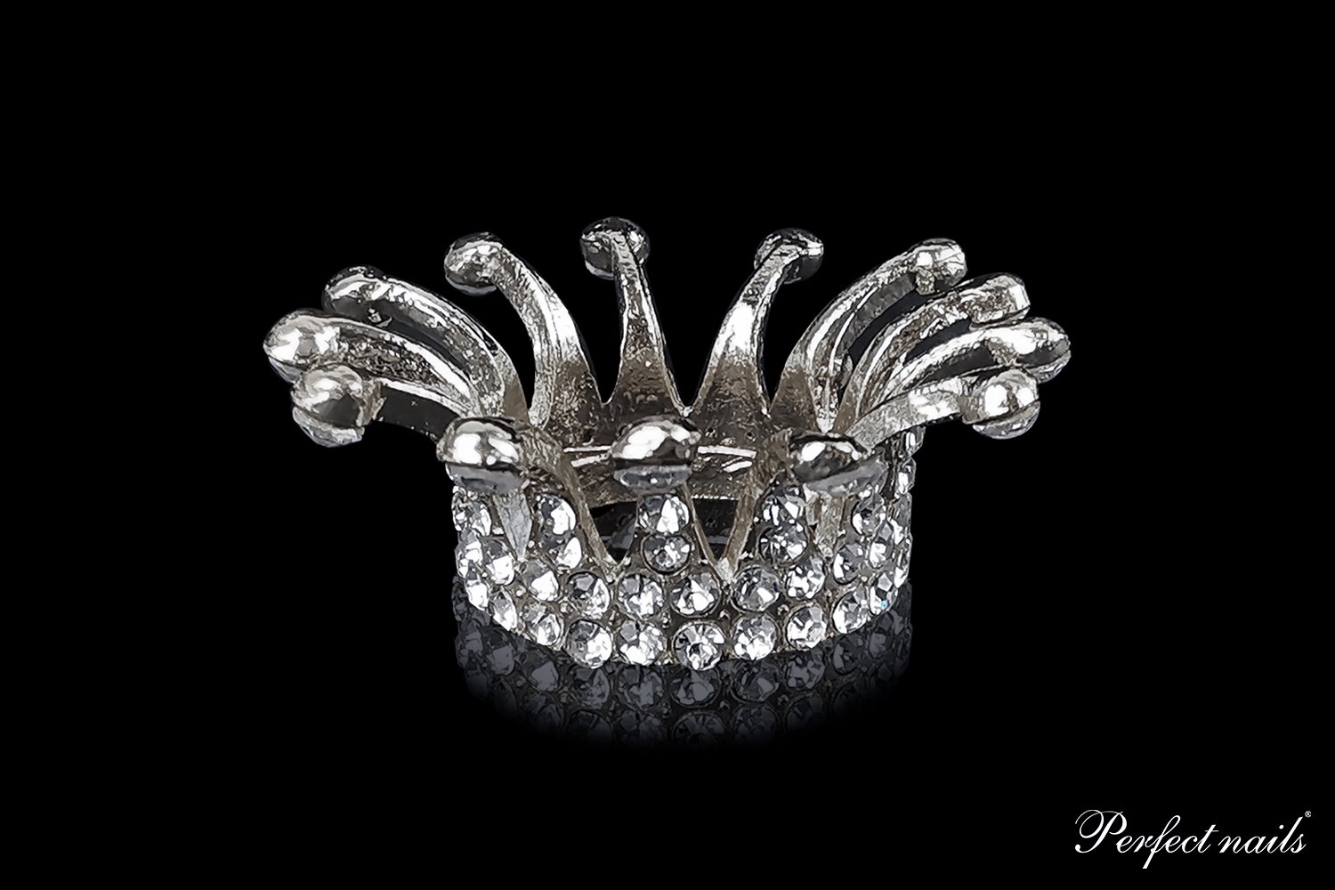 Laikiklis teptukams, įrankiams "Platinum Crown"
