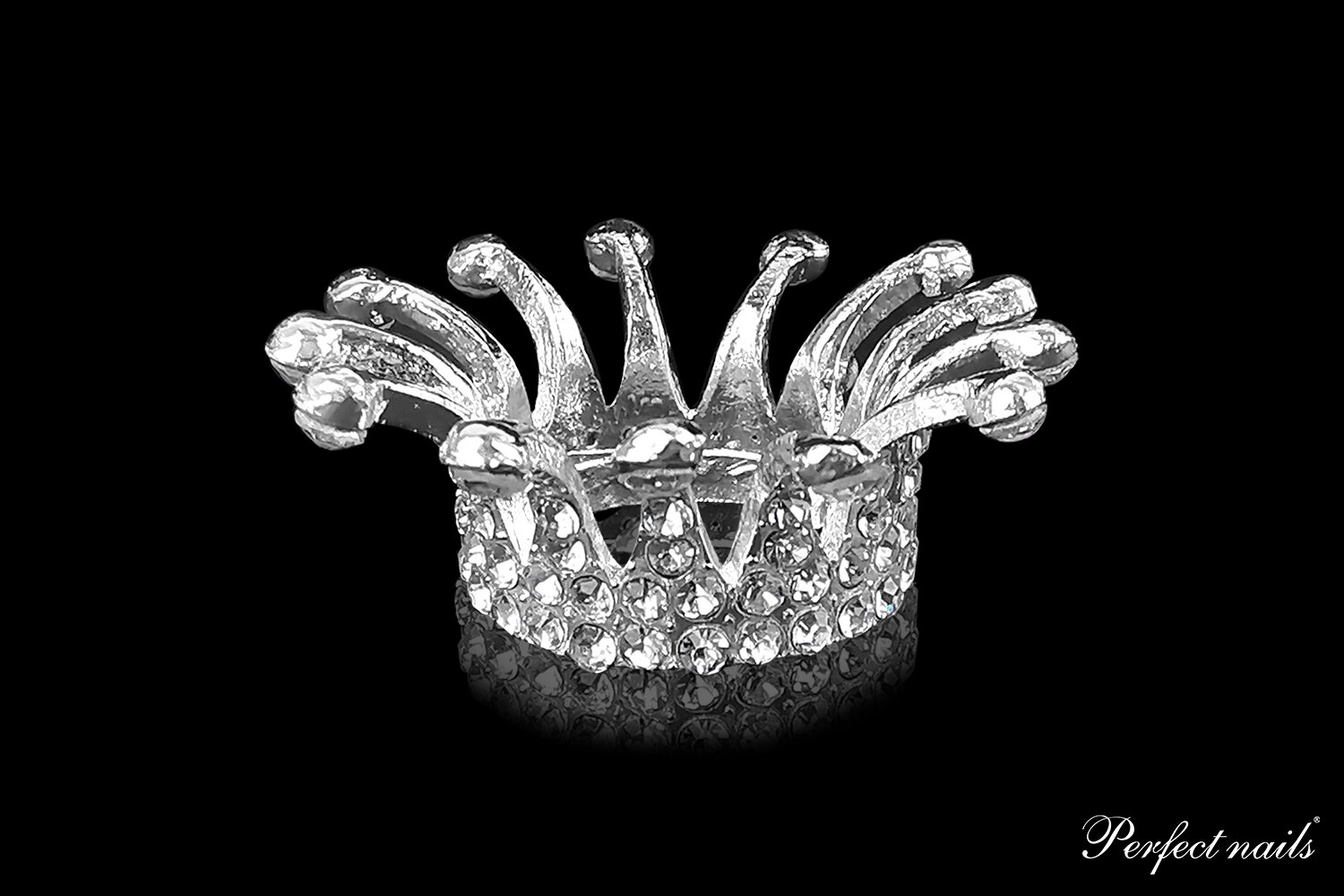 Laikiklis teptukams, įrankiams "Silver Crown"